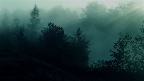 Dark Green Forest Wallpapers - Wallpaper Cave