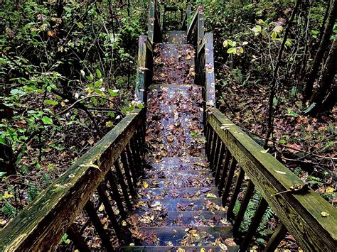 Blue Ridge Georgia Hiking: Find the Beauty in the Outdoors - Amber Likes