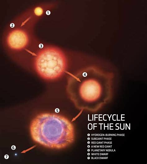 All Of The White Dwarf Life Cycle