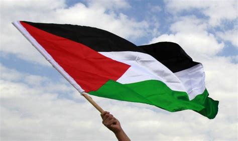 Fly the Flag for Palestine - IHRC