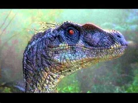 Jurassic Park Theme Song with pictures | Jurassic park raptor ...