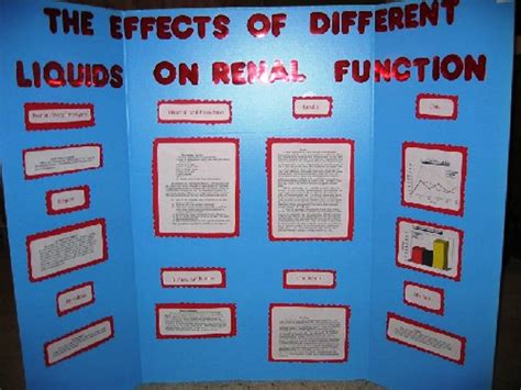 Free Science Fair Projects Experiments: Science Fair Projects Display ...