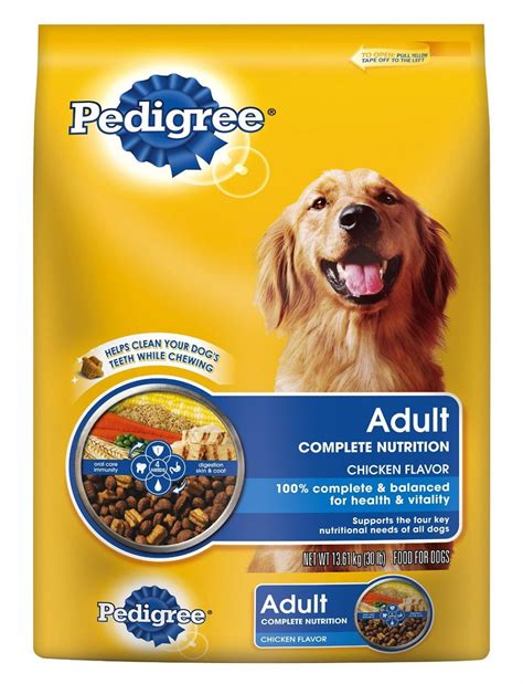 healthy dog food brands