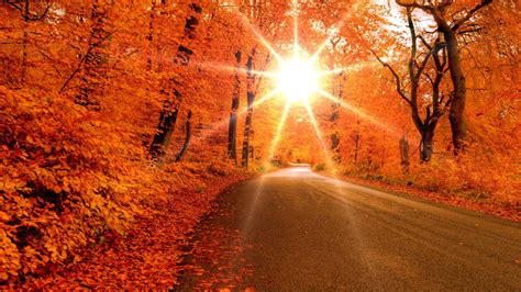 Autumn Sunrise Wallpapers - Top Free Autumn Sunrise Backgrounds ...