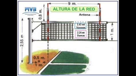Total 72 Imagen Medidas De La Cancha De Voleibol Para Hombres