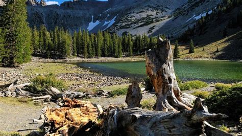 Great Basin National Park Travel Guide