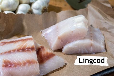 Grilled and Pan Seared Lingcod Recipe - Kitchen Laughter