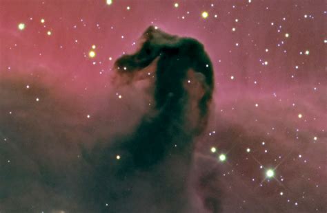 Horsehead Nebula - Universe Today