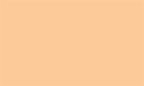 Pastel orange solid color landscape vector background 9506020 Vector ...