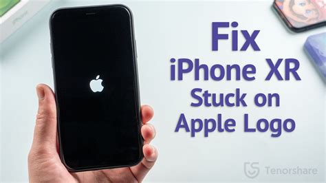 iphone xs stuck on apple logo storage full - Krysten Roth