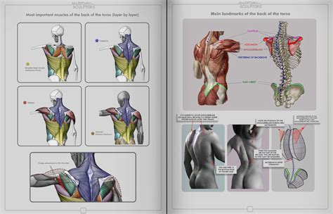 Iron Mammoth's Studio: Anatomy For Sculptors Book Kickstarter