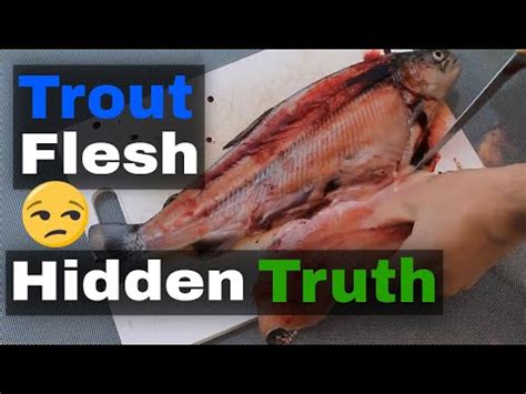 Unveiling The Mystery: What Color Is Trout Meat? - ScienceSphere.blog