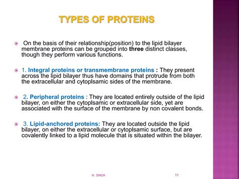 Plasma Membrane (Structure and Functions) | PPT