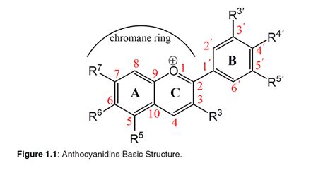 1: Anthocyanidins Basic Structure | Download Scientific Diagram