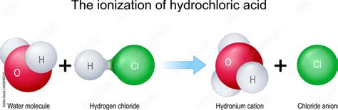 Chemical reaction between water and hydrogen chloride Stock Vector ...