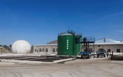 Biogas energy - Biogas Anaerobic Digester Plant for Pig Manure ...