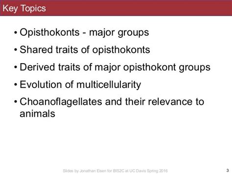 BIS2C: Lecture 24: Opisthokonts