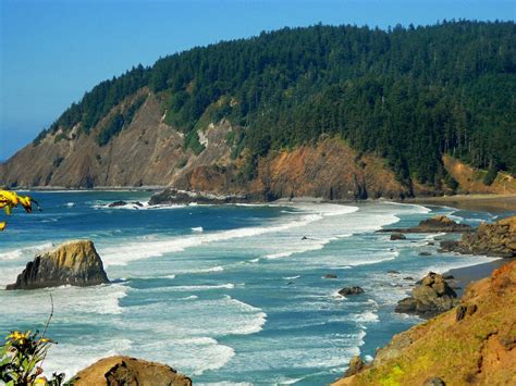 THE 15 BEST Things to Do in Oregon Coast (2025)