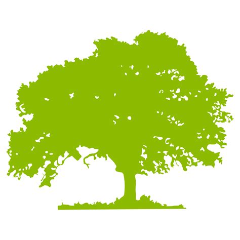 Free Tree Vector Png, Download Free Tree Vector Png png images, Free ...