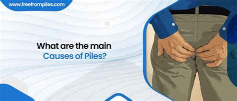 What are the main causes of Piles? | Dr. Madhav Mayank Sharma