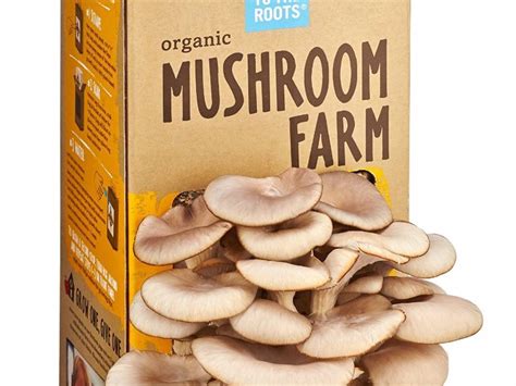 Mushroom Growing Kits | Expertly Chosen Gifts