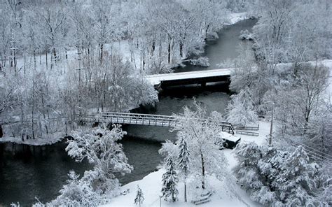 Winter in Ann Arbor, Michigan photo on Sunsurfer