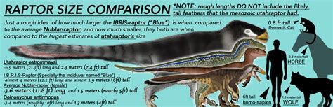 JP SIZE CHART: Raptor Size Comparison by Taliesaurus on DeviantArt