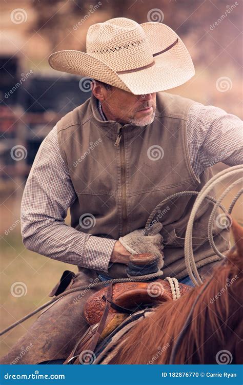 Cowboy Roping Calves on a Cattle Ranch Stock Photo - Image of rope ...