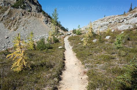 "Hiking Trail Through Alpine Meadow, Autumn" by Stocksy Contributor ...