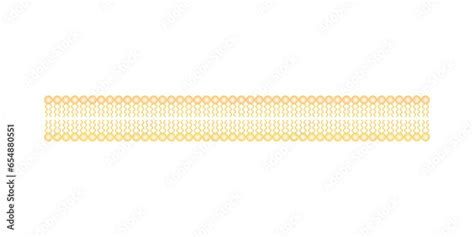 Scientific Designing of Phospholipid Bilayer Structure. The Cell ...