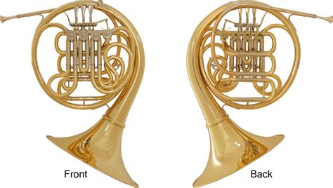 The Structure of the Horn:The structure of the horn - Musical ...