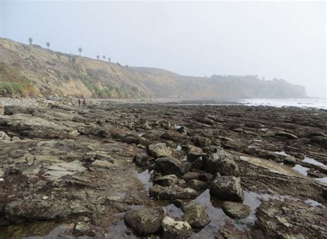 Beaches in San Pedro, Los Angeles CA - California Beaches