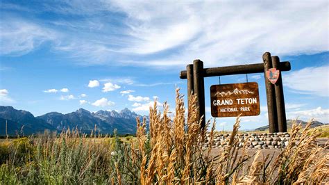 Grand Teton Wildlife Safari - Jackson Hole Wildlife Safaris