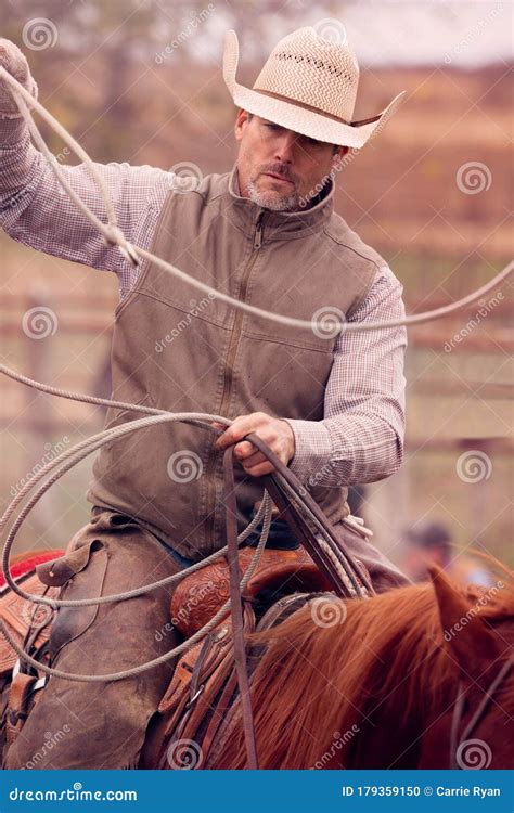 Cowboy Roping Calves on a Cattle Ranch Stock Photo - Image of farm ...