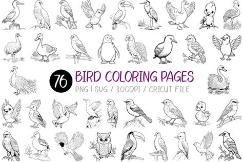 Bird Coloring Pages | Coloring book for kids