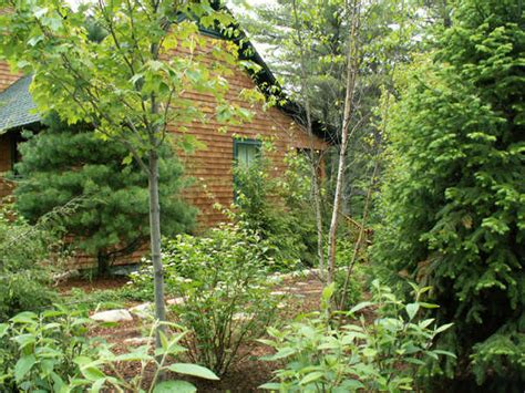 15 Practical Cabin Landscaping Tips