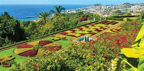 Madeira Botanical Garden, Madeira - Book Tickets & Tours | GetYourGuide