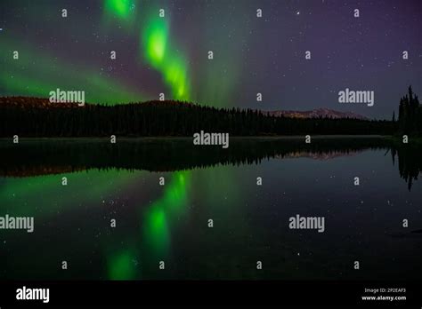 Northern lights in Yukon, Canada Stock Photo - Alamy