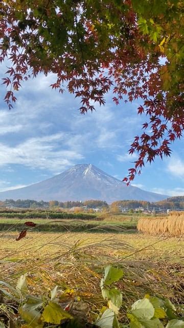 Mount Fuji Natural Landscape Free Stock Video - Pixabay