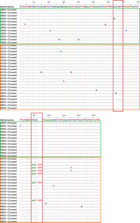 Nucleotide sequence alignment and indels (red square) in exon 11 of ...