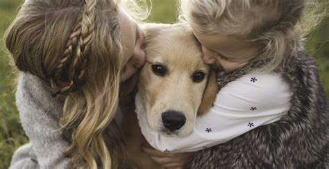 Best Dogs for Families With Kids