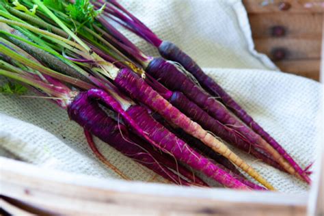 15 Best Carrot Varieties to Grow at Home | House Grail