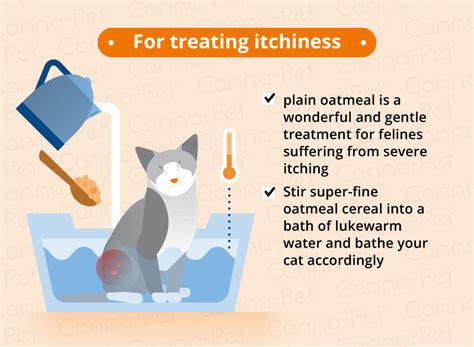 Cat Skin Conditions & Natural Remedies | Canna-Pet