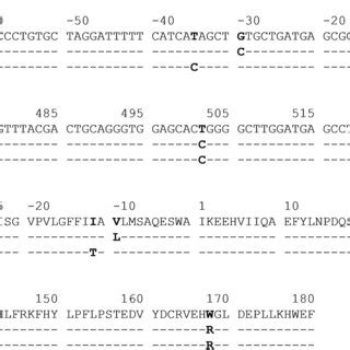 Nucleotide sequence alignment of position −60 to −1 (exon 1) of ...