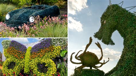 On the Hedge: Topiary Artist Joe Kyte Talks Disney, Creeping Fig, and ...