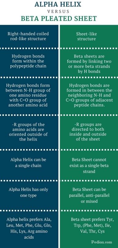 Difference Between Alpha Helix and Beta Pleated Sheet