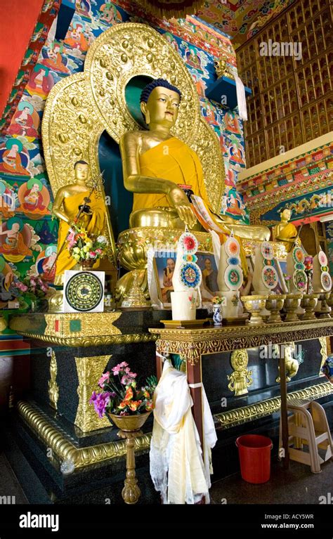 Buddha image. Korean Buddhist Temple. Lumbini. Birthplace of Lord ...