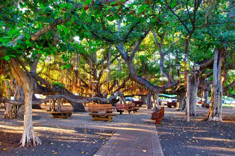 Lahaina Historic District