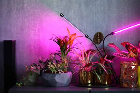 13 of the Best Grow Lights for Indoor Gardens | Gardener’s Path