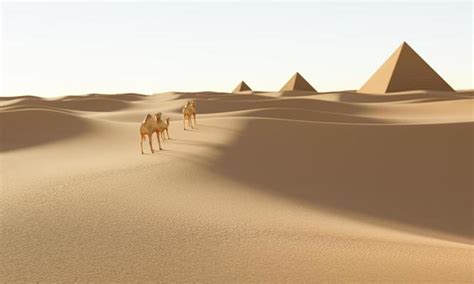 Desert Animals Stock Photos, Images and Backgrounds for Free Download